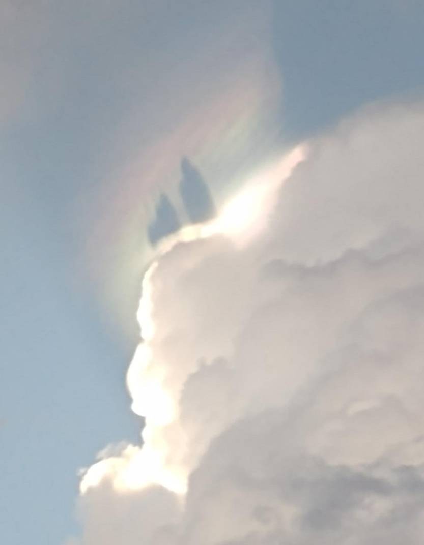 b852d825-26ca-4219-9129-d2deae8240cd