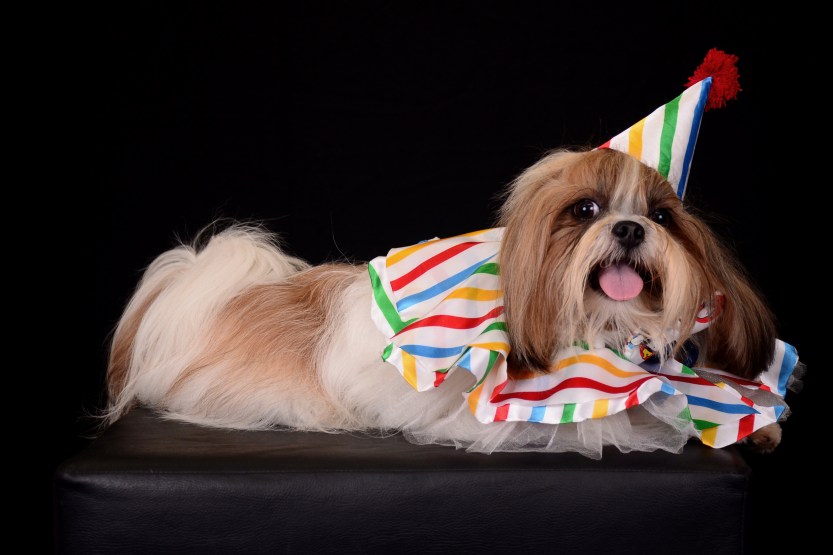 imagem_release_1614599