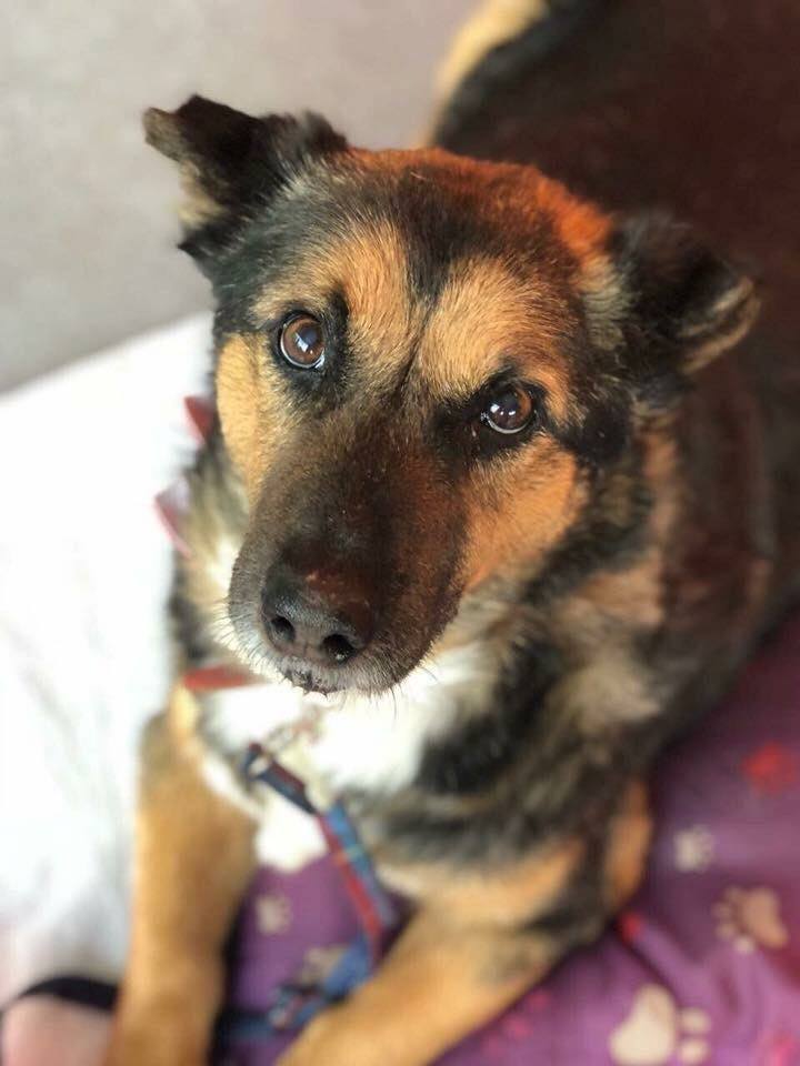 imagem_release_1614600