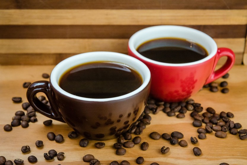 Foto: Priscilla Fiedler