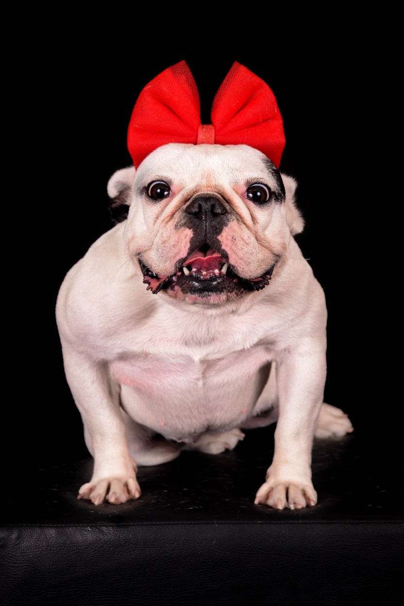 imagem_release_1626369