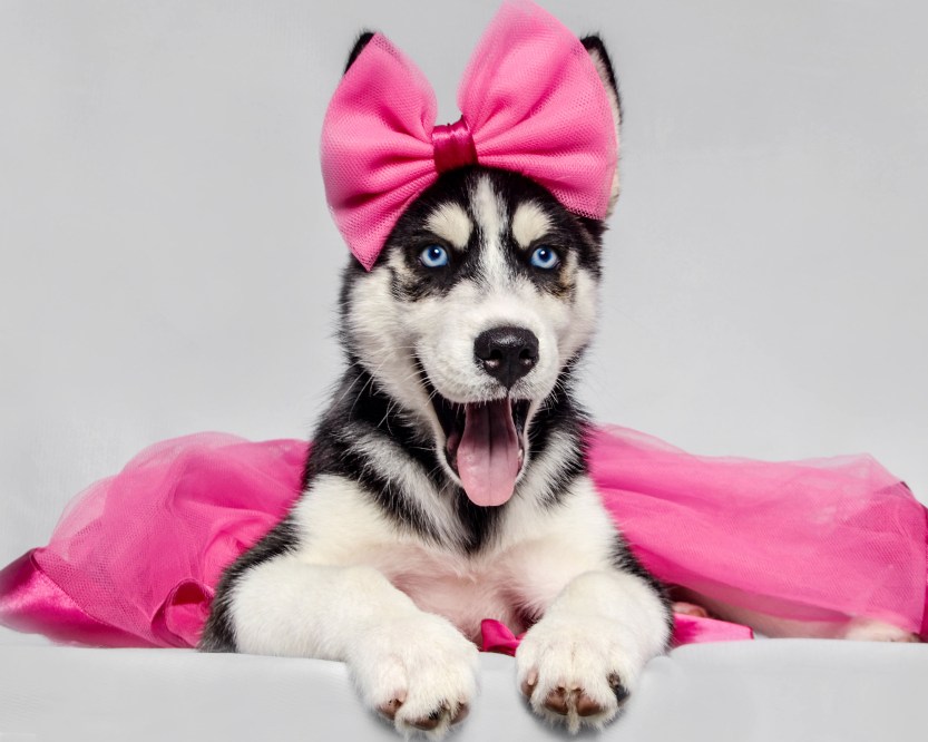 imagem_release_1632738