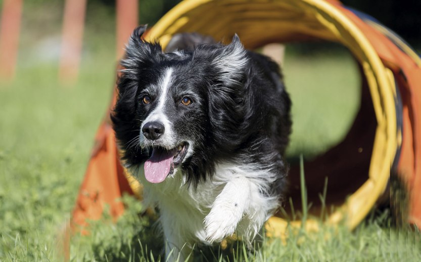 imagem_release_1642028