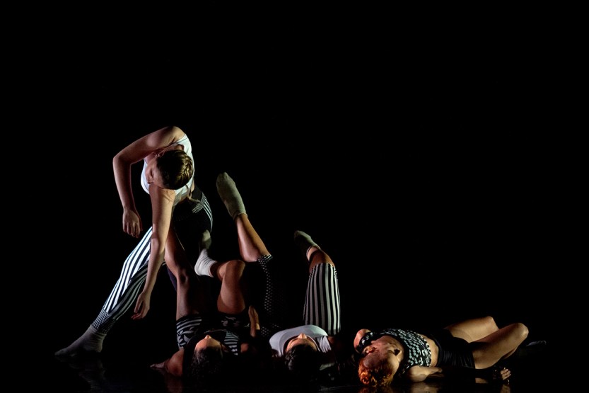 Mostra 2019_Curitiba_4_@Cayo Vieira