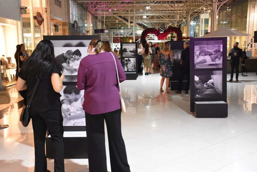 360899_880263_exposicao