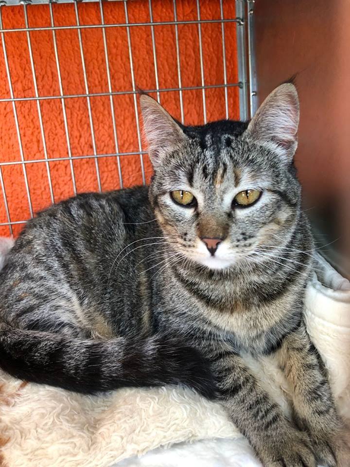 imagem_release_1696023