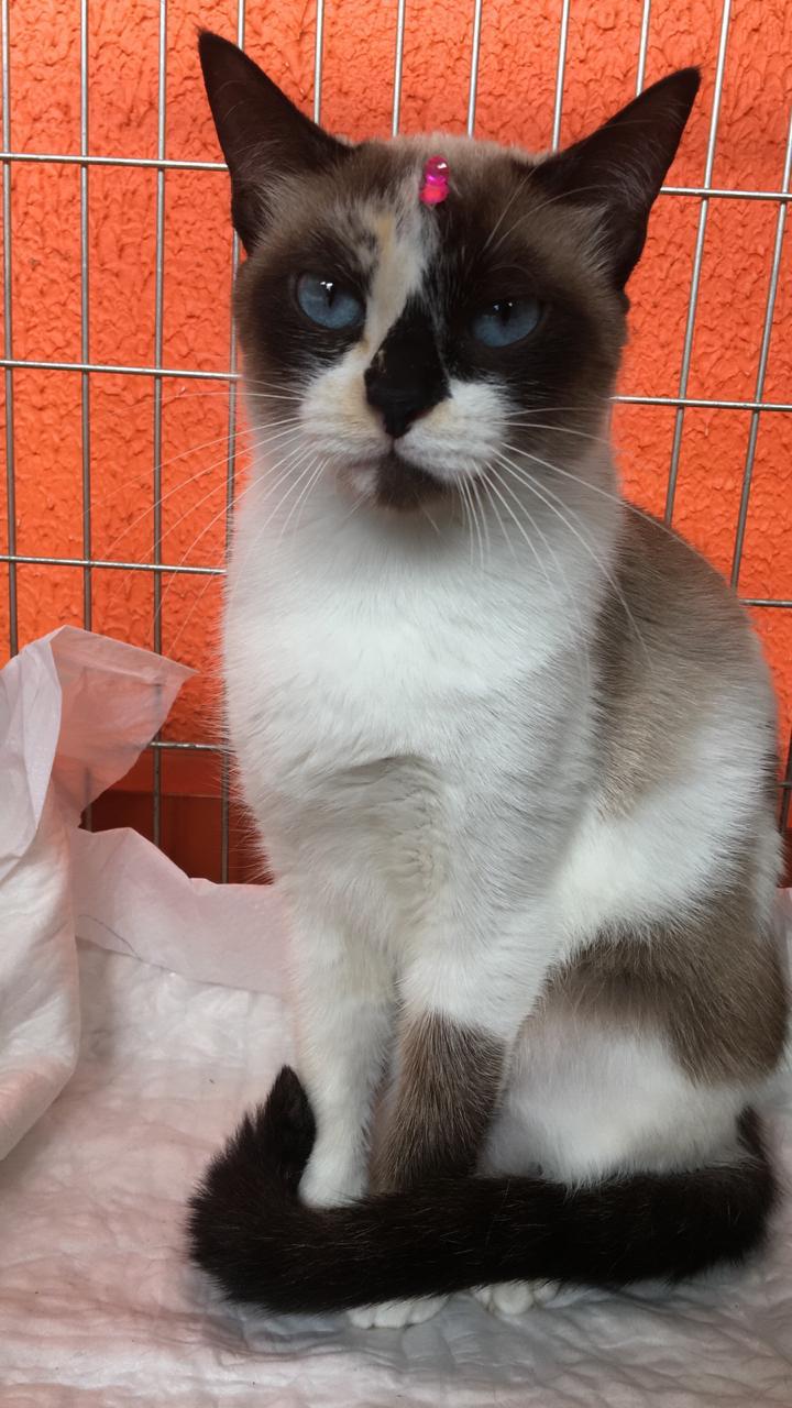 imagem_release_1707430