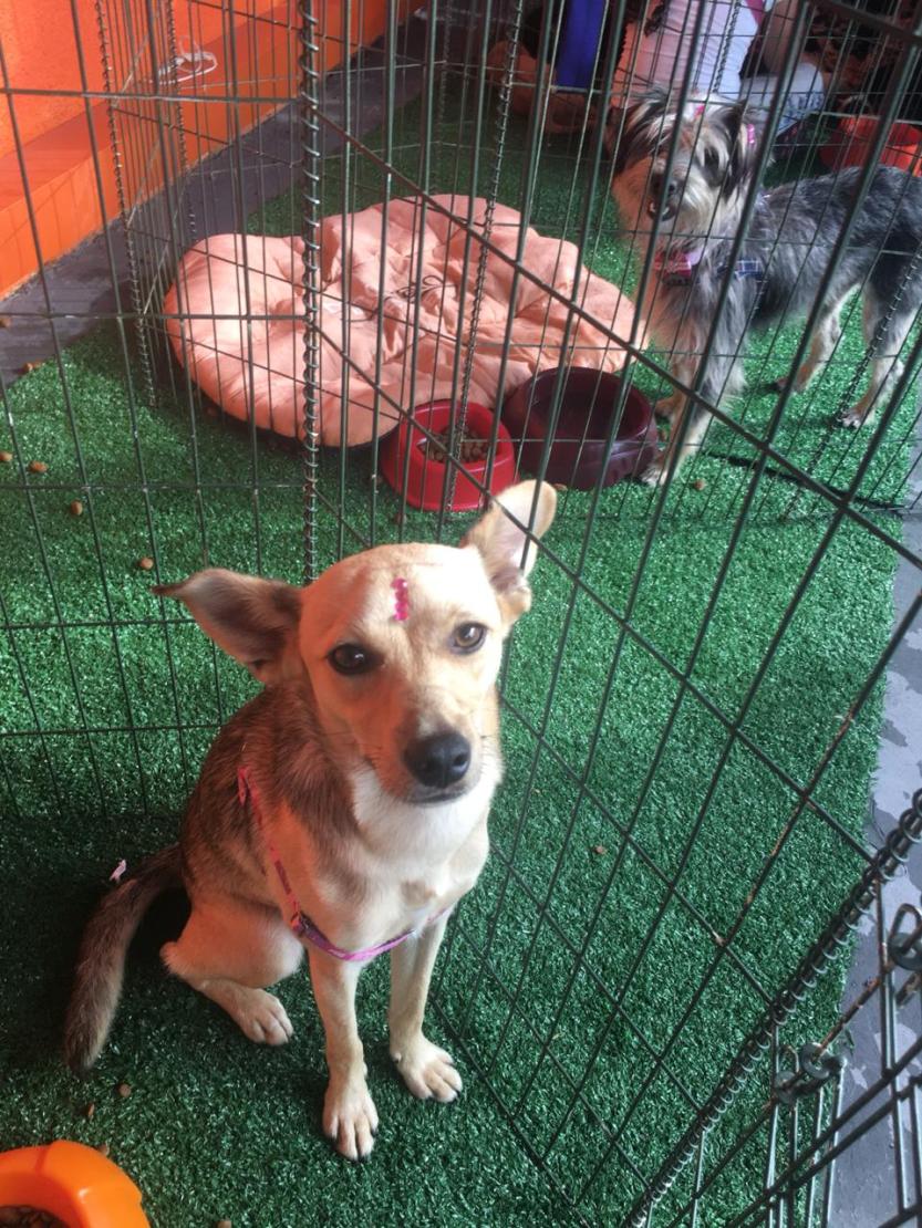 imagem_release_1728401