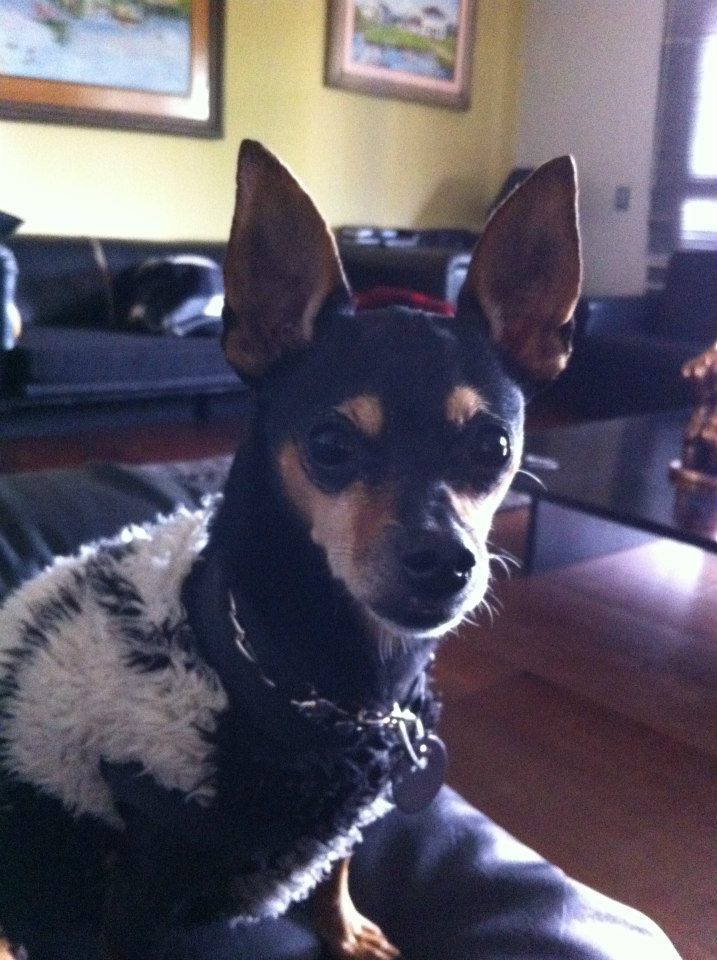 946782_581631068537502_139311203_n