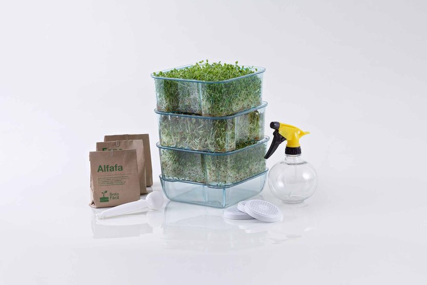 Broto_FÃ¡cil_-_kit_germinado_-_alfafa