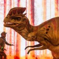 DINOS_EXPERIENCE_Â©_Renato_Mangolin_ALTA_247