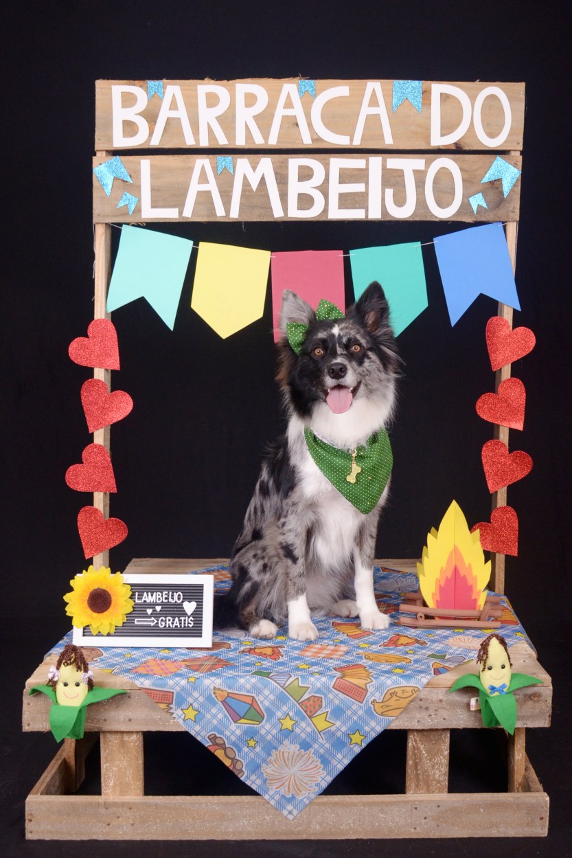 Festa-junina-solidaria-HiperZoo