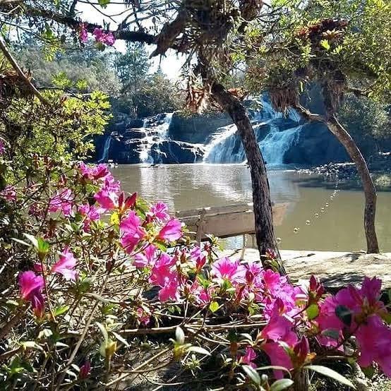 57104054_2190928867639030_5078460805003870208_n (1)