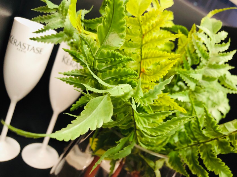 68464363-EF92-4D84-8108-9DD8E22C35C0