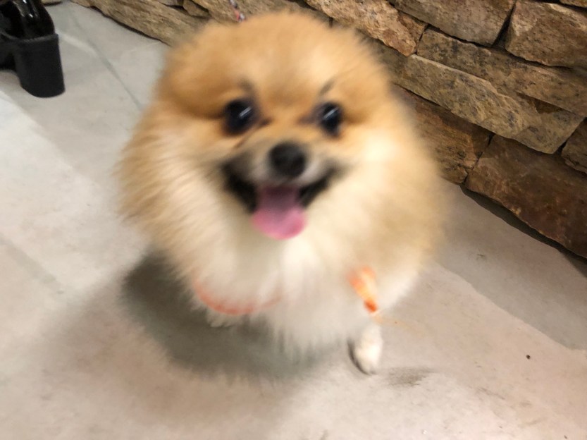 AA6709E3-89DA-47A6-9133-5A50611714E2