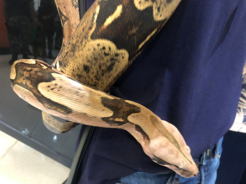 B5B2EBC9-172A-4894-89CD-EB7A66F25538