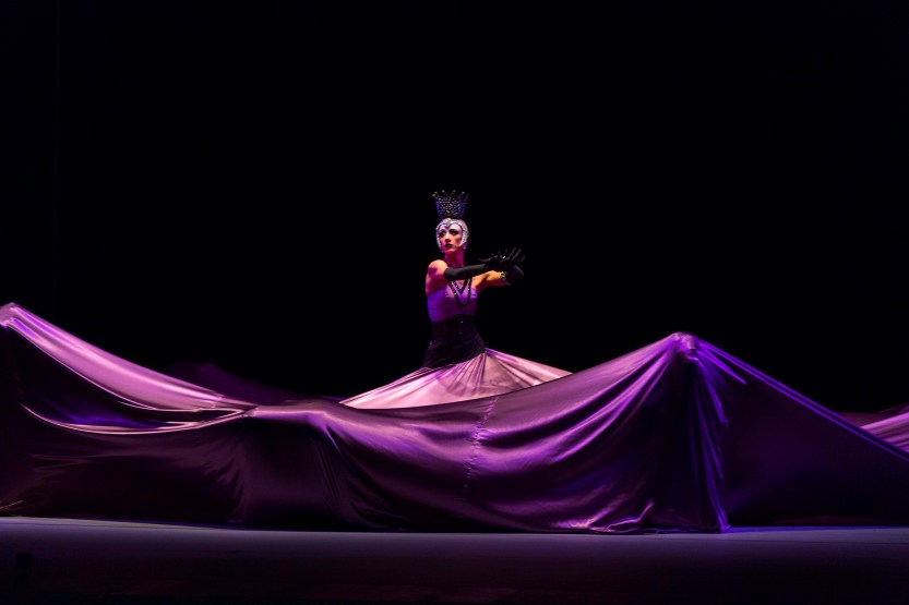 O Lago dos Cisnes - Maringas Maciel 2