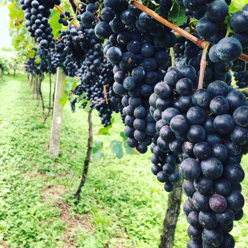 df0c74b6-5e6f-49ba-b72d-54c6c30545cf