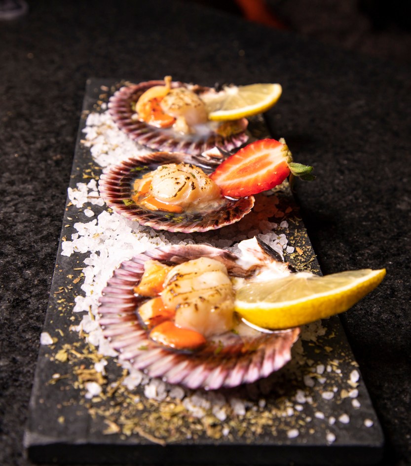 Diô inclui vieiras no cardápio diário (1)