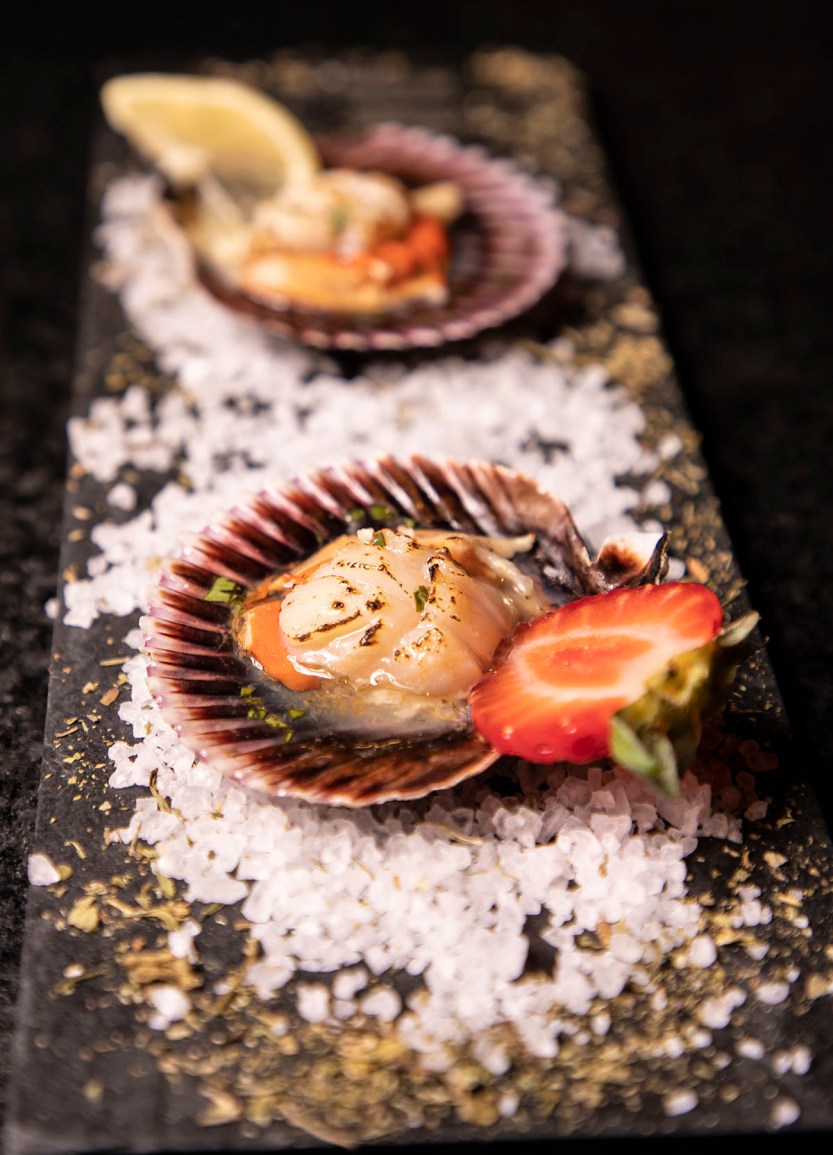 Diô inclui vieiras no cardápio diário (2)