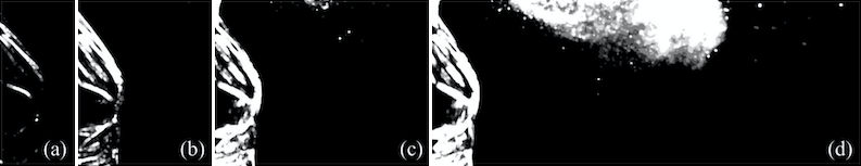 Image By Lydia Bourouiba, MIT a-b-c-d