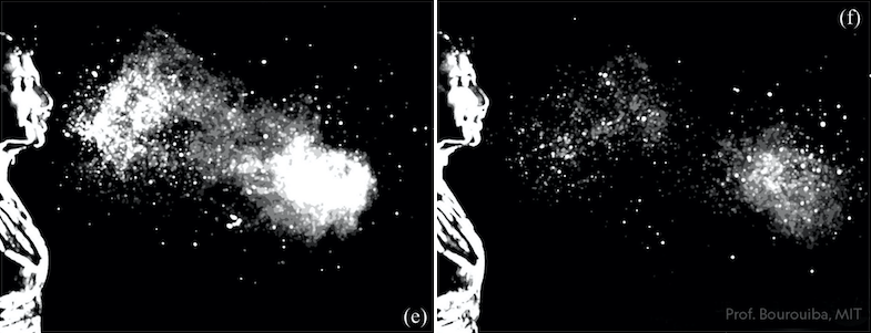 Image By Lydia Bourouiba, MIT e-f