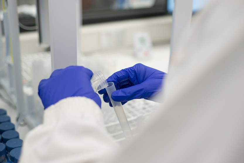 Laboratorio-CII-VCyT-2