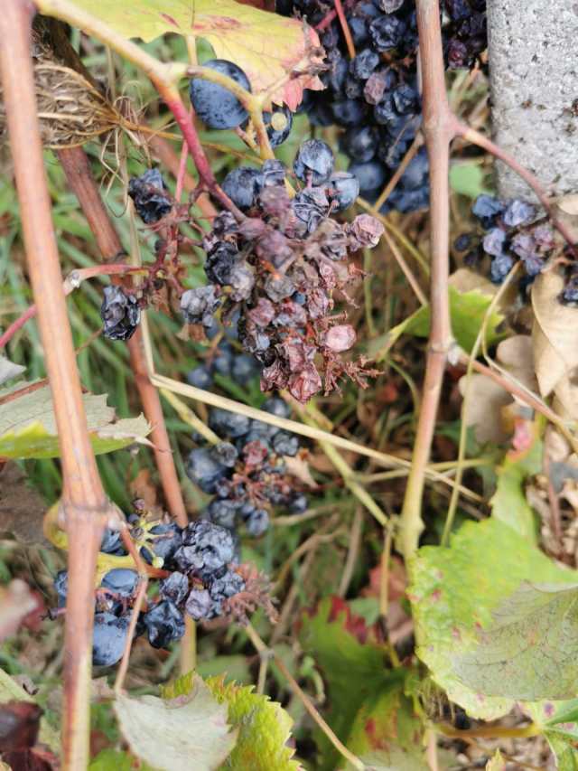 22a21a3b-0273-41ef-adb1-f531debabc29