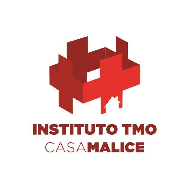 Instituto TMO logo 800x600