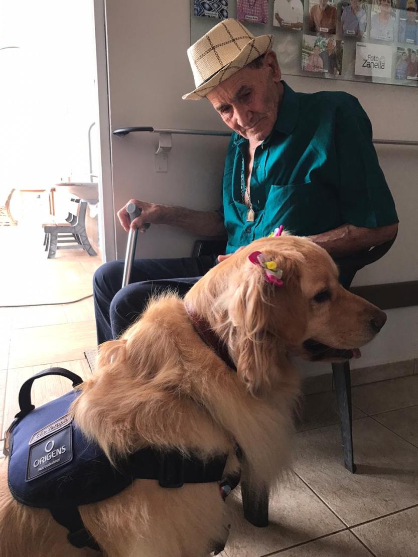 193d0d87c0de31de26d28a4a1b38955c