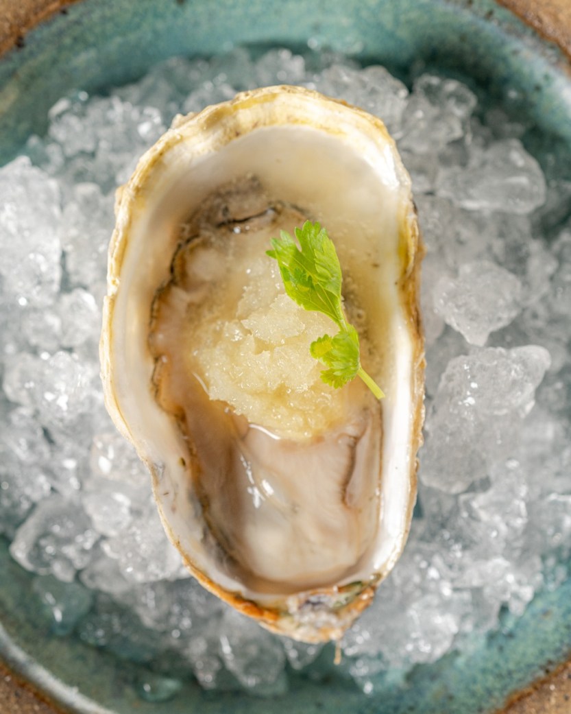 381455_942387_ostra___chef_claudia_krauspenhar___1_