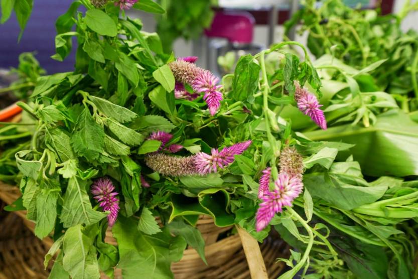 Cozinha saudável (2)