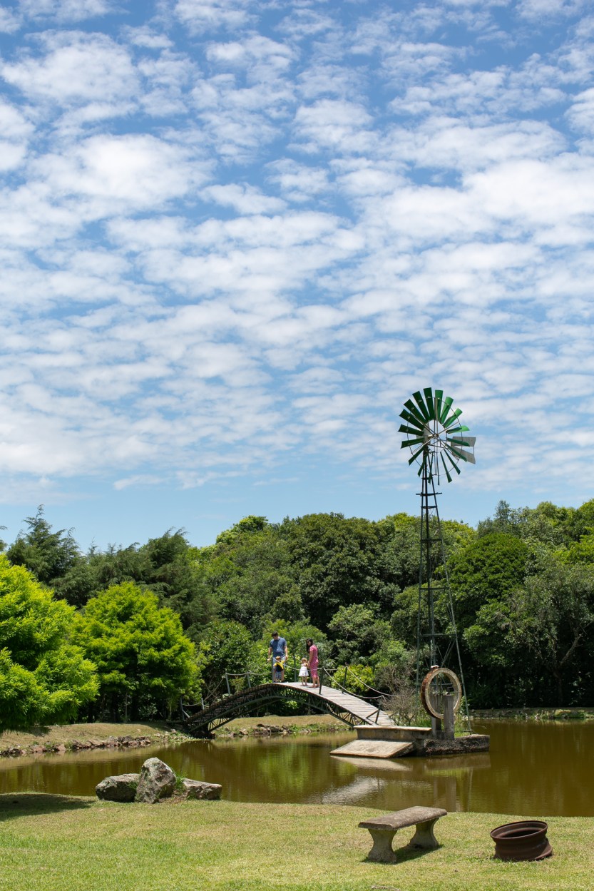 fotografia © 2019 Rubens Nemitz Jr