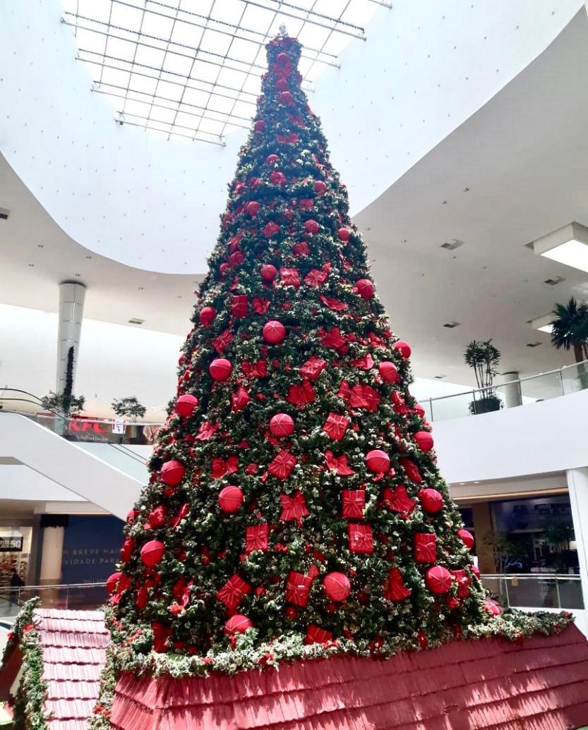 WhatsApp-Image-2020-11-03-at-16.01.58--1-