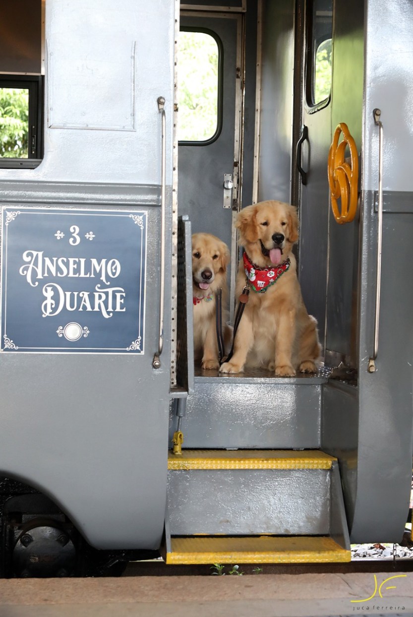 WhatsApp-Image-2020-12-23-at-11.15.16