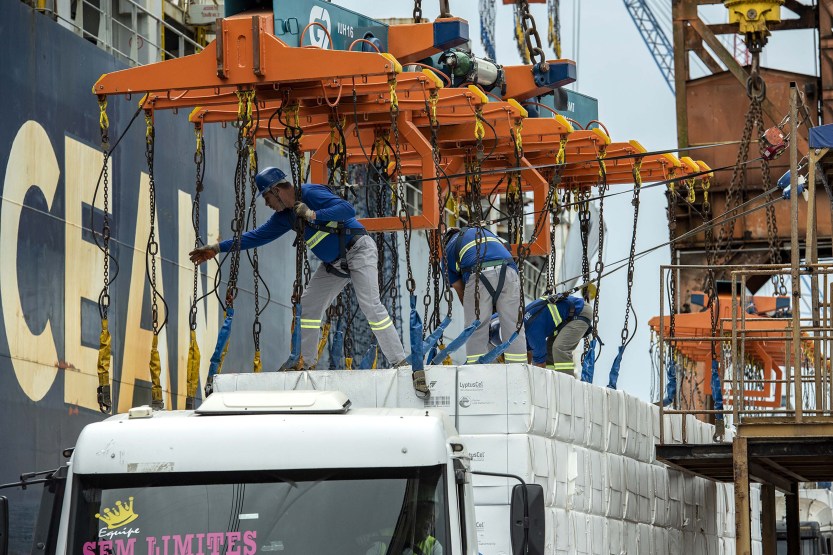 Ogmo_Porto_de_Paranaguá_(4)_Divulgação