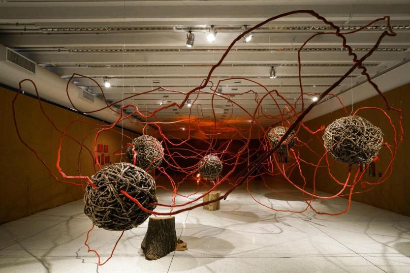 Obra da mostra Radical, de Sonia Dias_ Foto de André Nacli.JPG-2