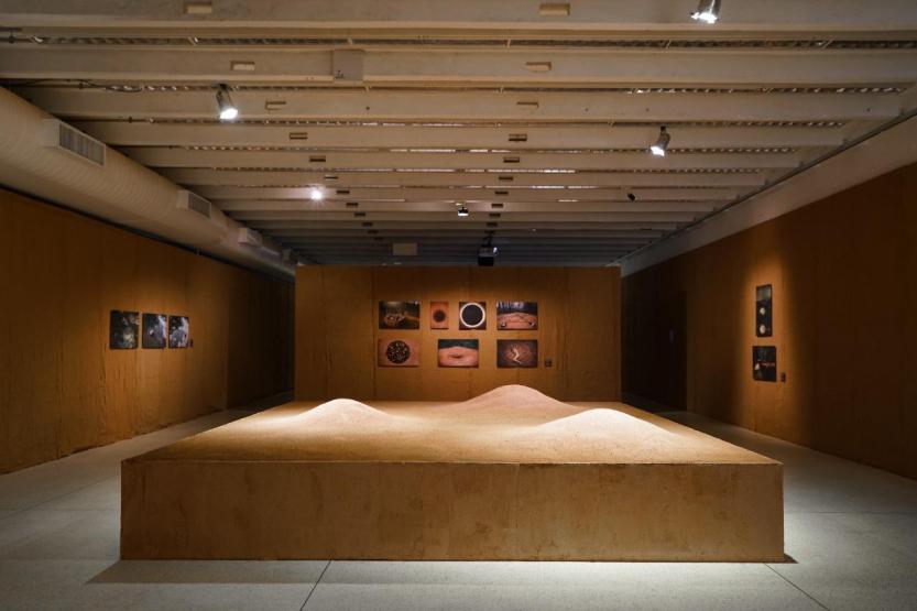 Obra da mostra Radical, de Sonia Dias_ Foto de André Nacli.JPG-3