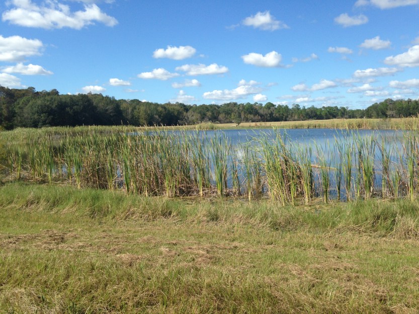 3820f79d24a8237f4bdd9b501e7f4874