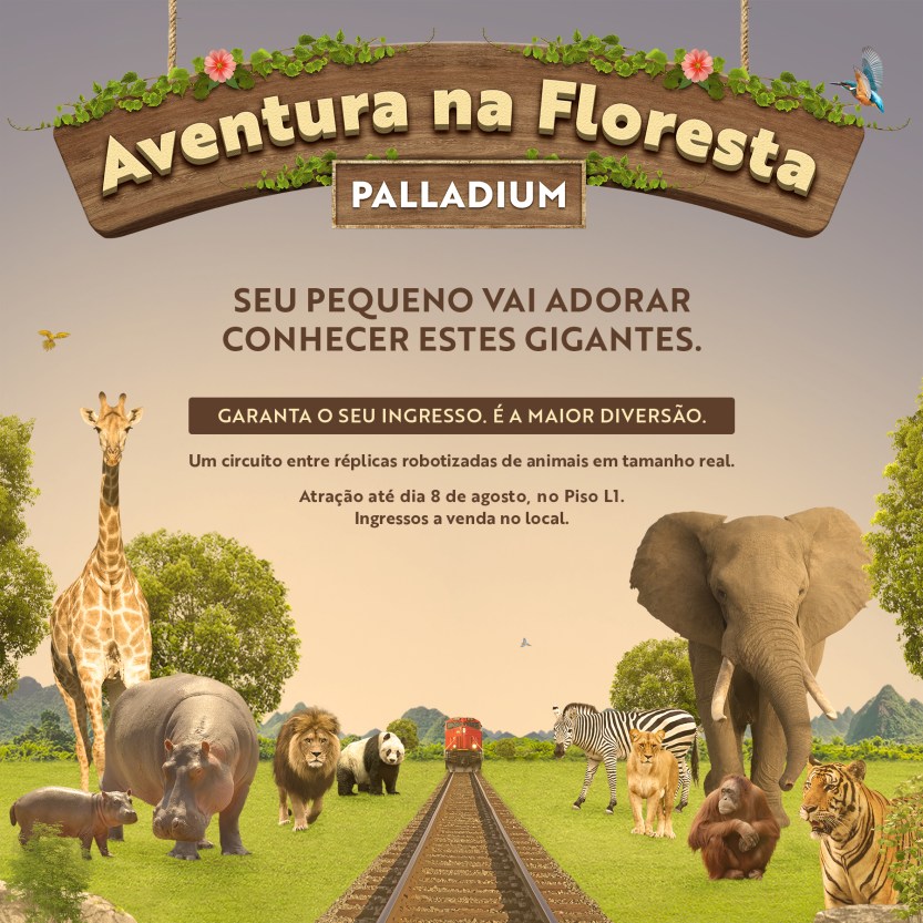 Aventura na Floresta
