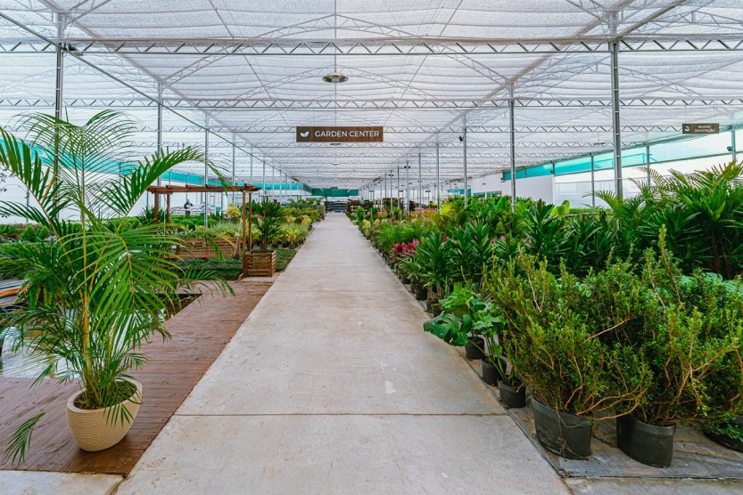 Esalflores-Xaxim_fotoPriscillaFiedler-2