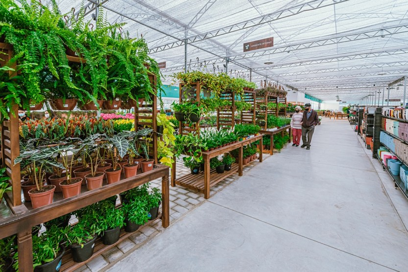 Esalflores-Xaxim_fotoPriscillaFiedler-20