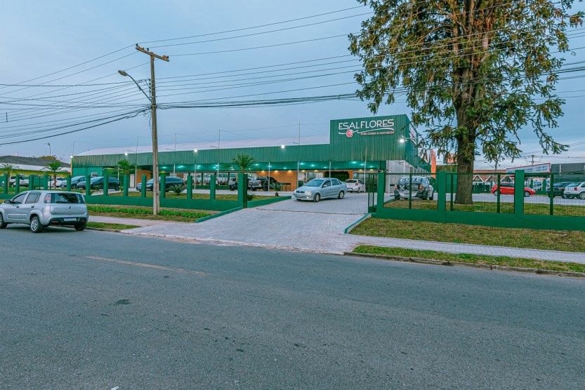 Esalflores-Xaxim_fotoPriscillaFiedler-26