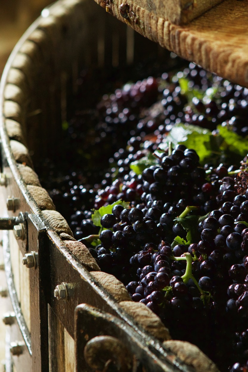 OriginalSizeJPEG-371378