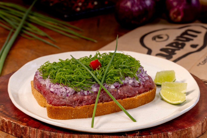 Jabuti-Carne_de_Onça