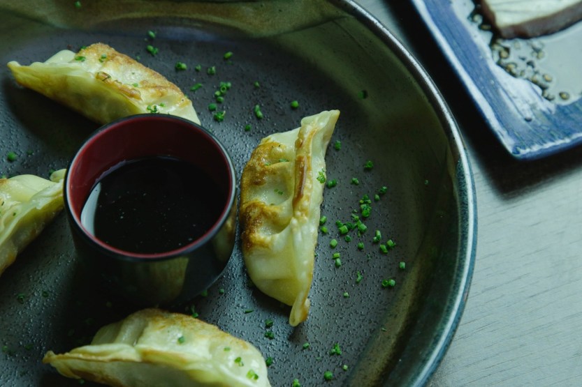 Guioza - Vila Yamon - foto por Hugo Oliveira