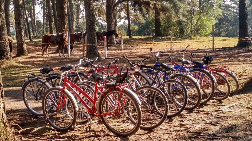 como-opcoes-de-laser (1)