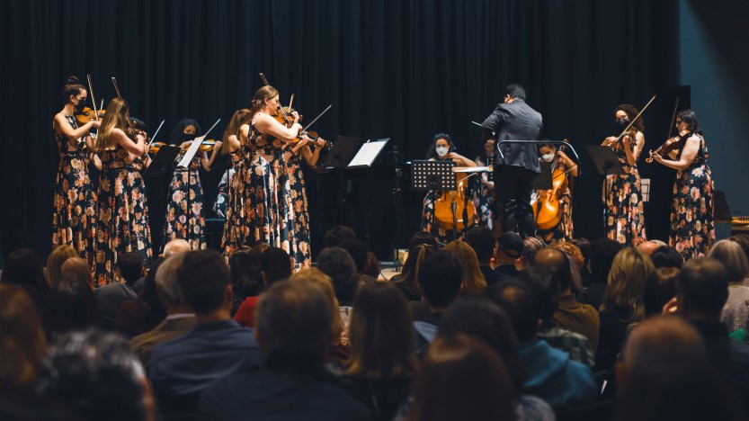 Ladies_Ensemble_concerto