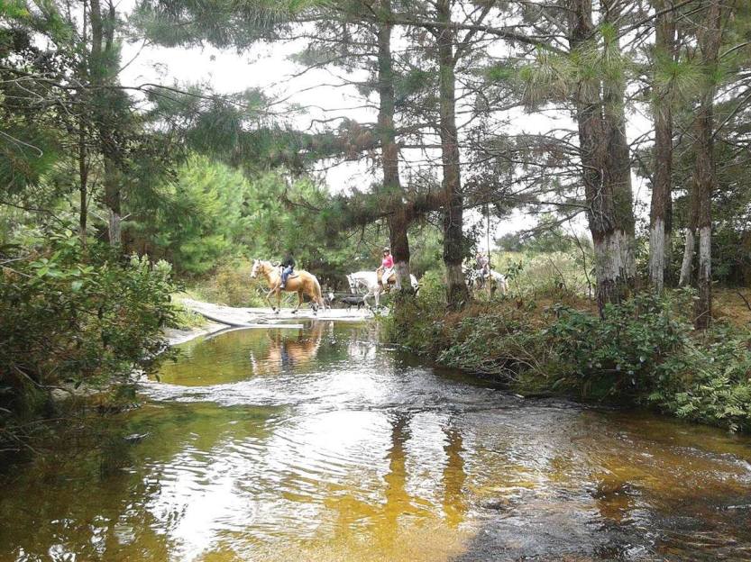 POUSADA PARQUE SAO LUZ DO PURUNA