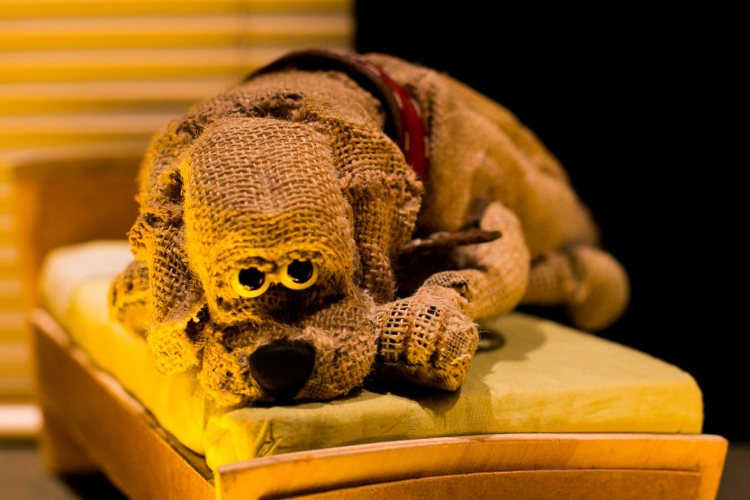 ENTRE-JANELAS-Anellize-Tozetto